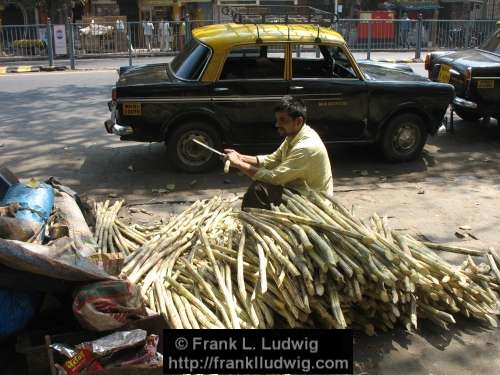 Bombay, Mumbai, India